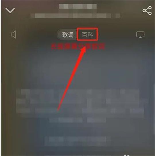 网易云音乐app如何查看歌曲曲风？网易云音乐app查看歌曲曲风的方法