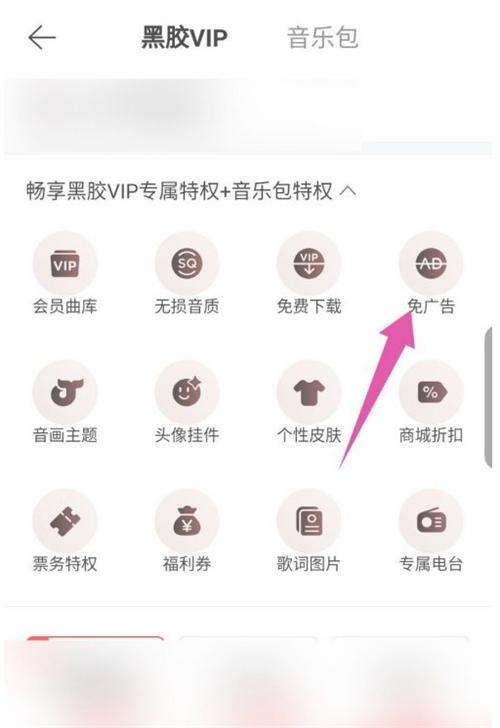 网易云音乐黑胶vip与音乐包的区别是什么