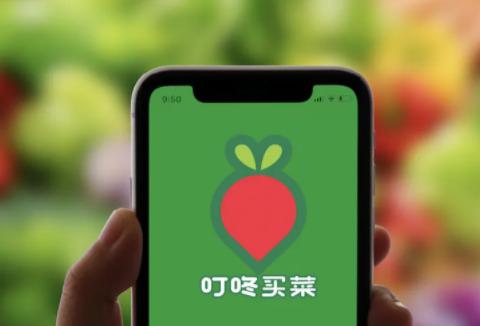 叮咚买菜app