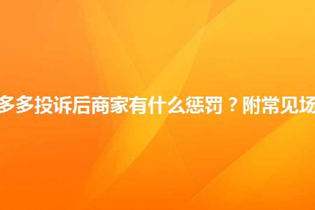 拼多多投诉后商家有什么惩罚-拼多多商家投诉机制分享 