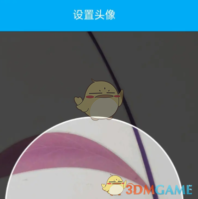 触动漫画怎么更换头像