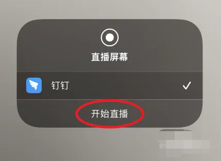 手机钉钉app直播怎么共享屏幕视频