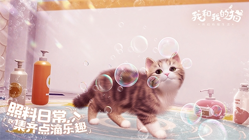 猫咪集结中 西山居休闲社交《我和我的猫》测试开启 