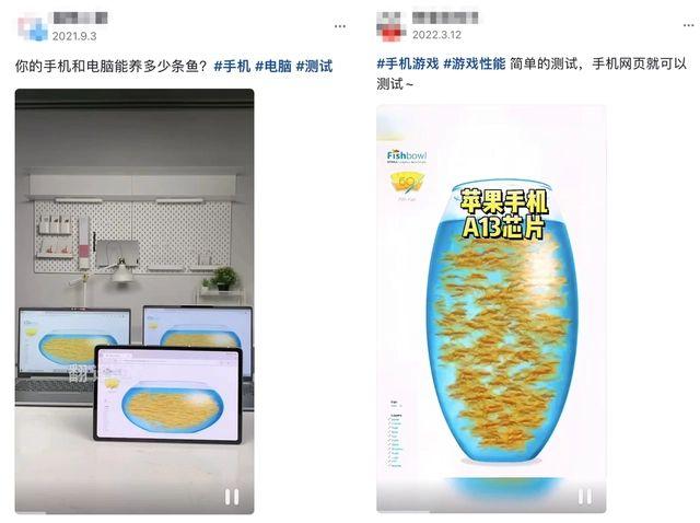 fishbowl手机测试网址入口 fishbowl鱼缸测试网站链接[多图]-软件教程