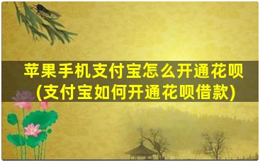 手机支付宝花呗怎么开通流程_苹果支付宝花呗打开的方法教程 