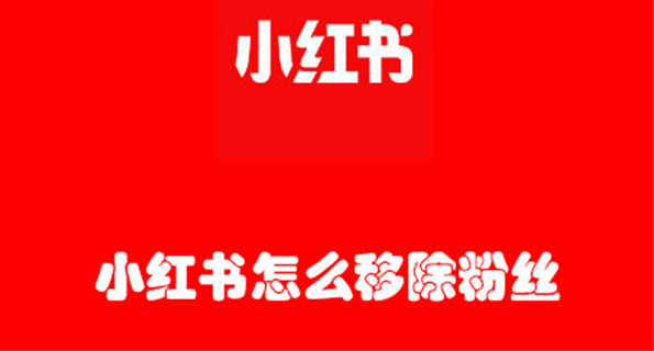 苹果小红书怎么移除粉丝不留痕迹_小红书如何移除粉丝的方法详细介绍 