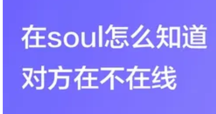 soulapp上面怎么看对方在不在线_soul如何查看对方在线与否的方法 