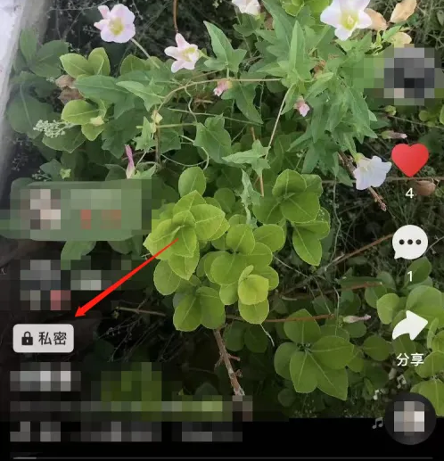 苹果手机快手怎么设置不让别人看我的作品