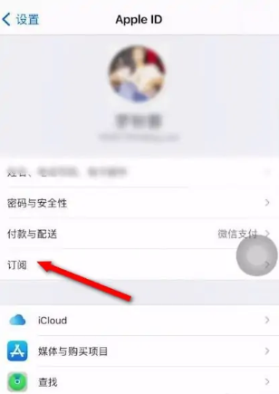 苹果手机wps会员怎么取消自动续费