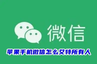 苹果手机微信不是群主怎么@所有人_普通成员如何在微信群中@全部人 