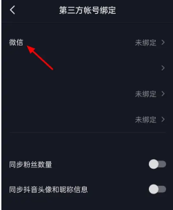 苹果手机抖音微信登录权限怎么设置